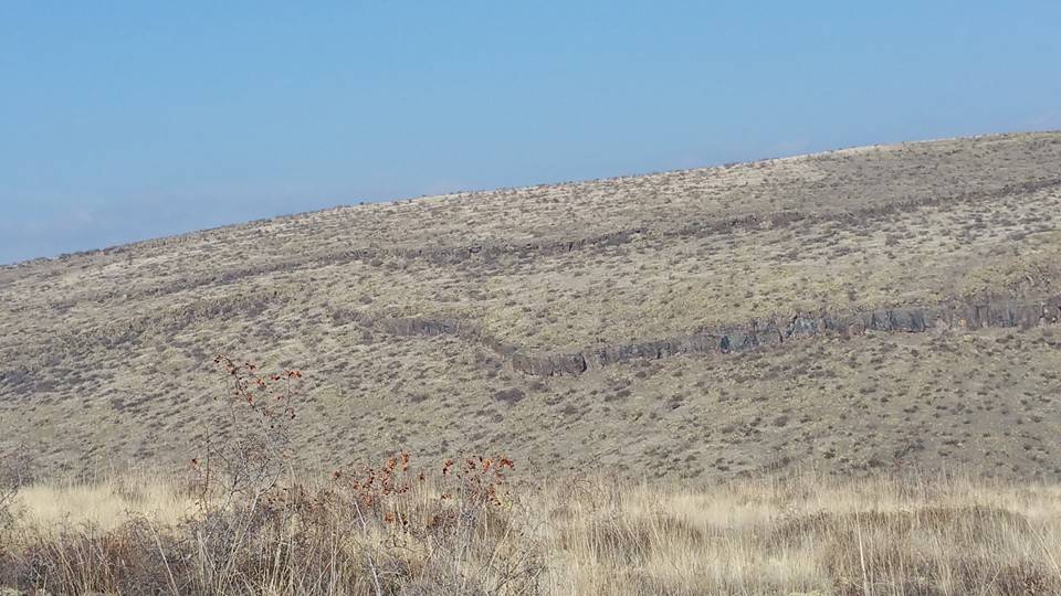 Güdül Salihli Köyü Resimleri 1