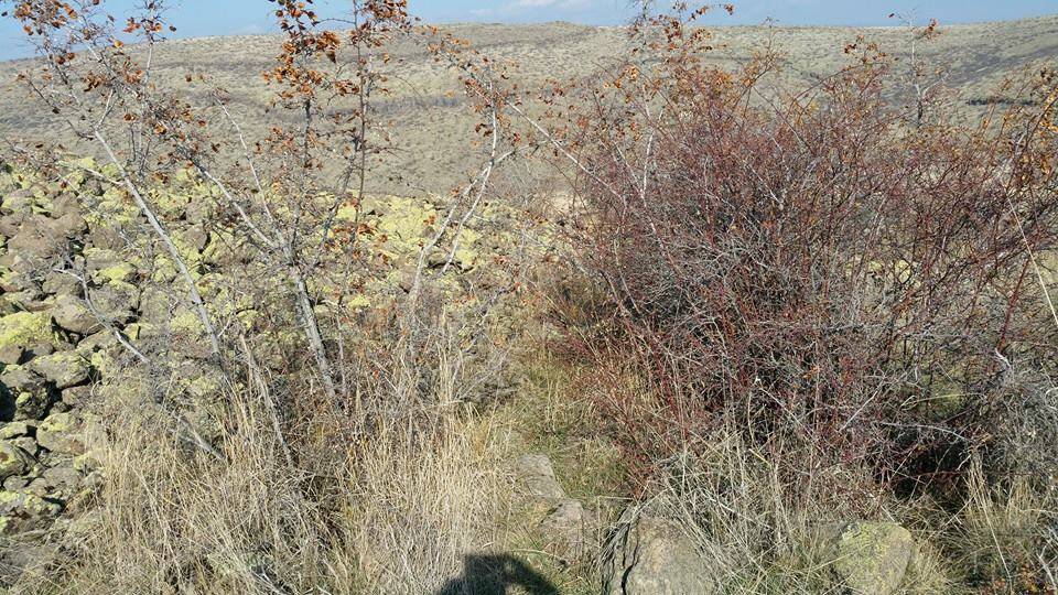 Güdül Salihli Köyü Resimleri 2