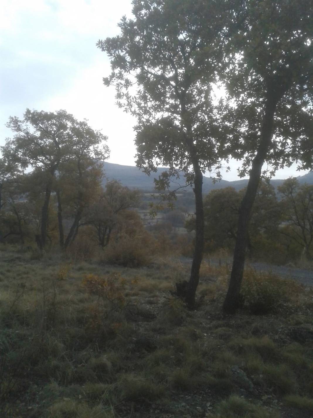 Güdül Sapanlı Köyü Resimleri 11