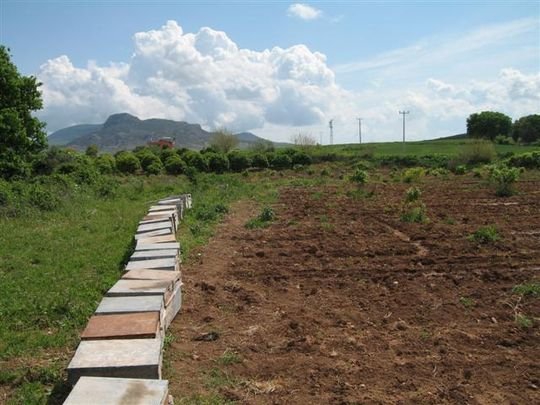 Adana Yüreğir Kütüklü Köyü Resimleri 1