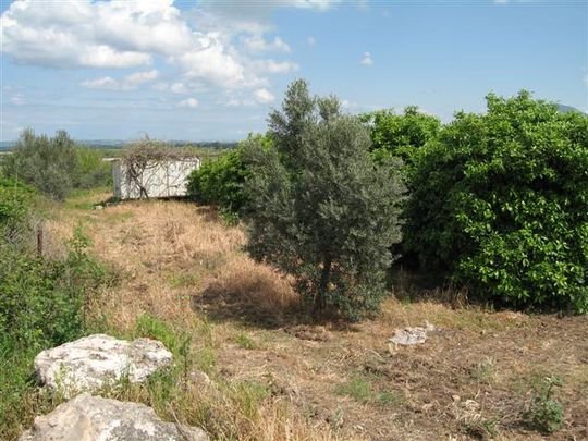 Adana Yüreğir Kütüklü Köyü Resimleri 4