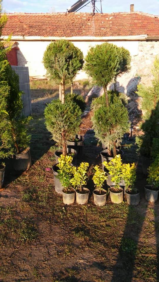 Haymana Altıpınar Köyü Resimleri 5