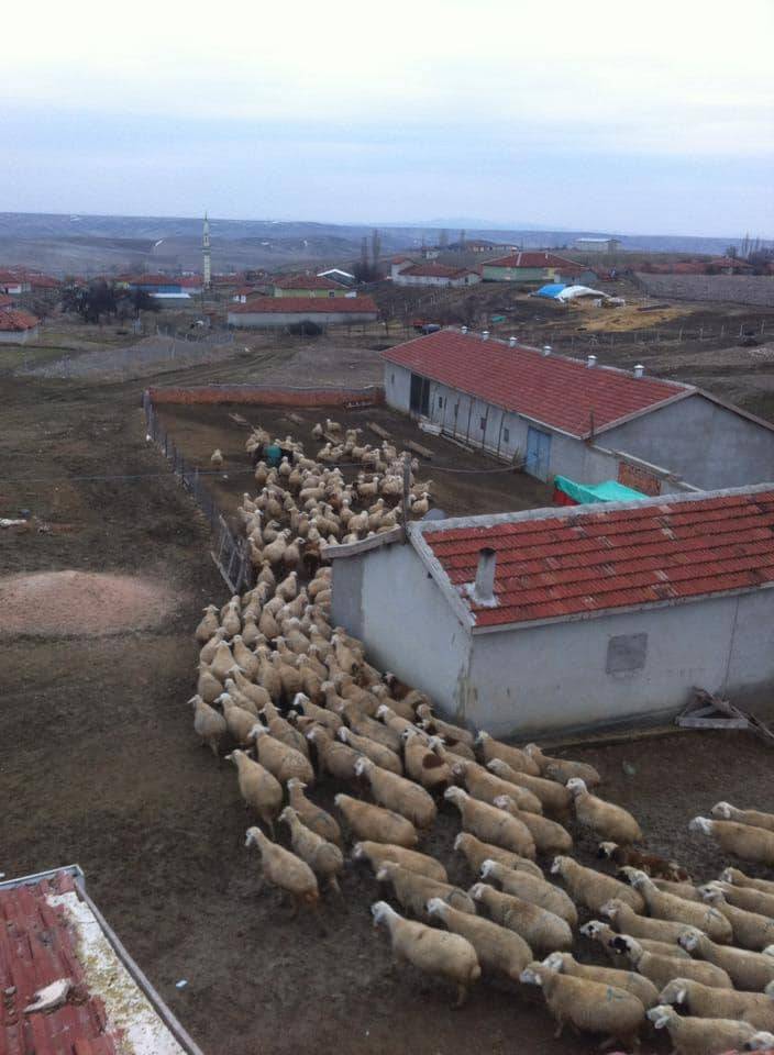 Haymana Büyükkonak Köyü Resimleri 6