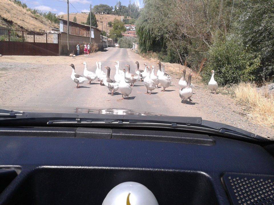 Haymana Culluk Köyü Resimleri 7