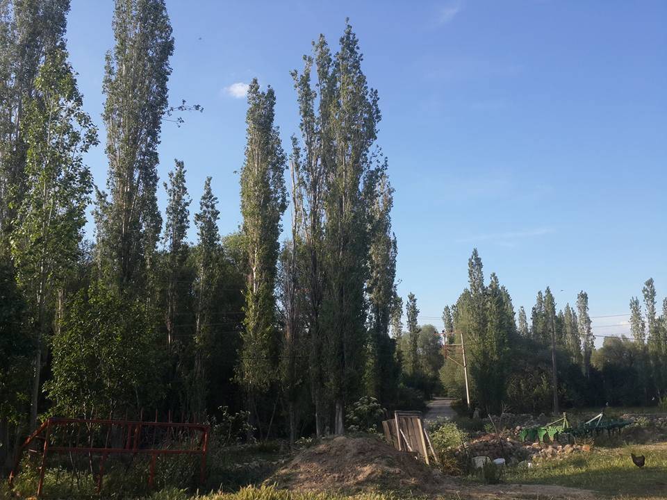 Haymana Çalış Köyü Resimleri 1