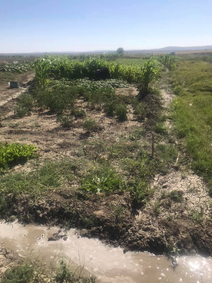 Haymana Çalış Köyü Resimleri 4