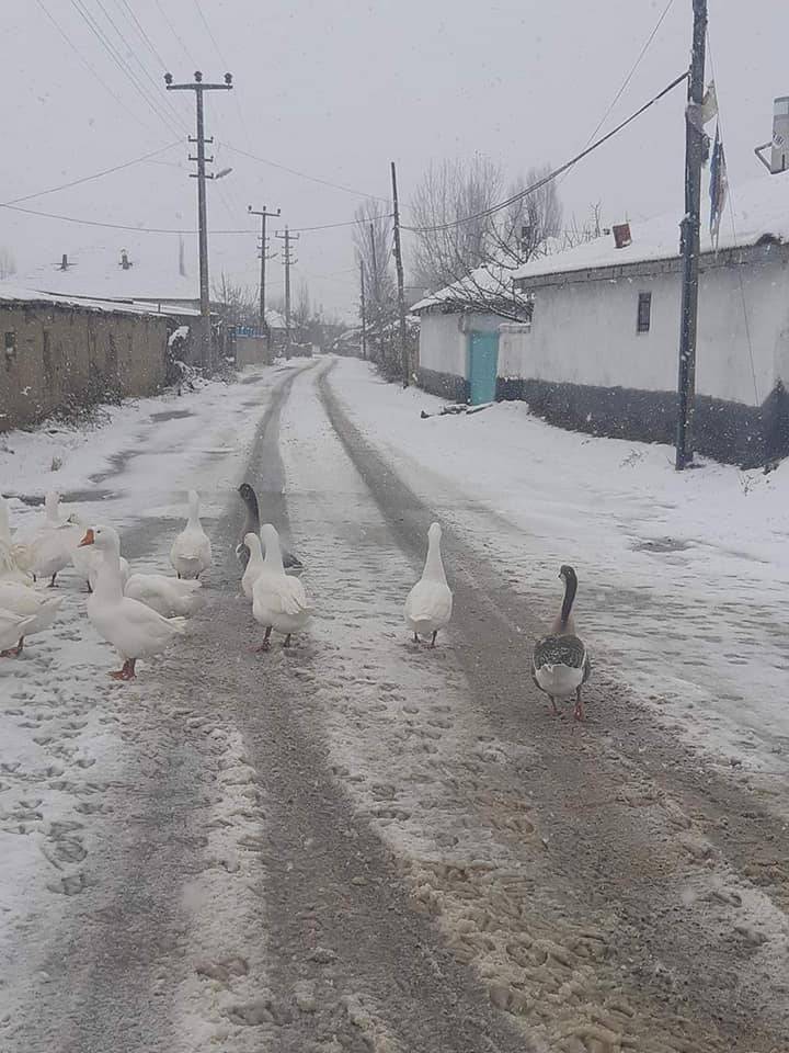 Haymana Çalış Köyü Resimleri 5