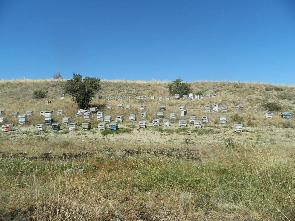 Haymana Çayraz Köyü Resimleri 1