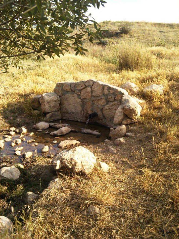 Haymana Demirözü Köyü Resimleri 9