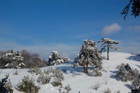 Eskipazar Karaören Köyü Resimleri 2