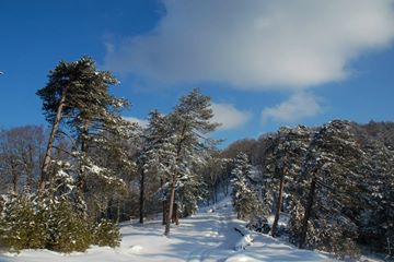 Eskipazar Karaören Köyü Resimleri 3
