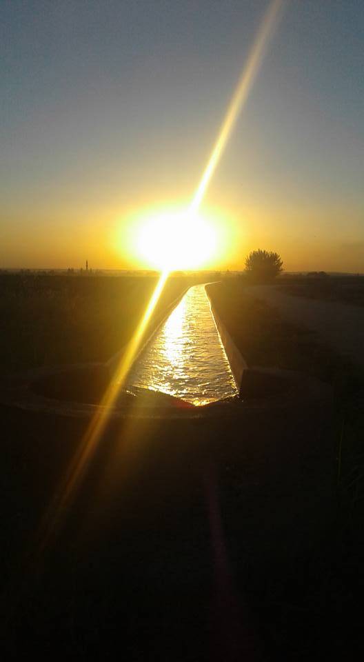 Akçakale Uğraklı Köyü Resimleri 2