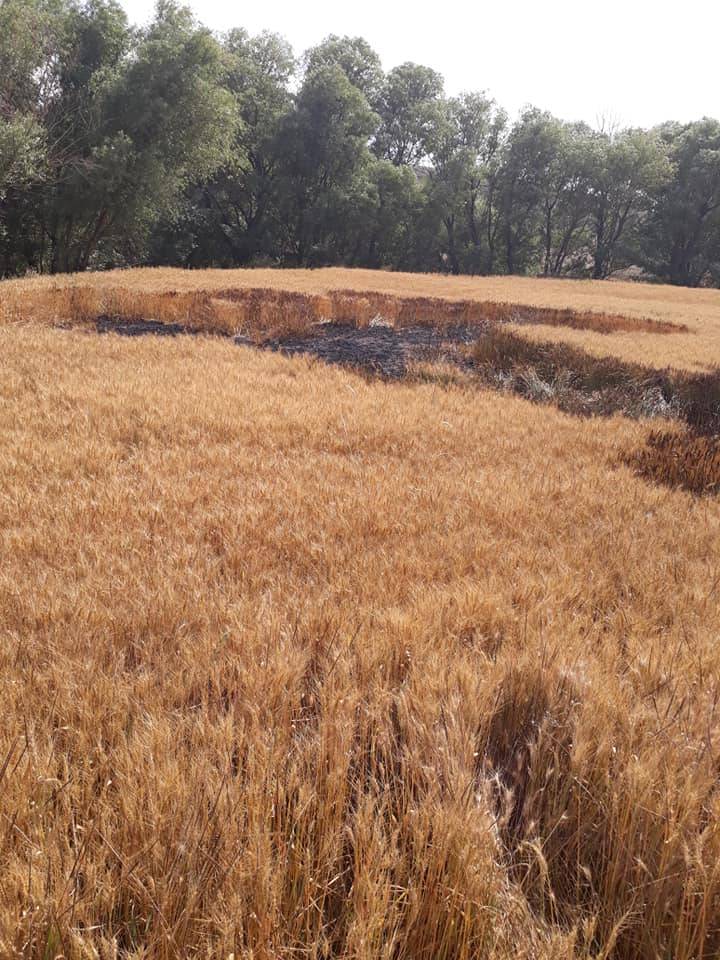 Haymana Karaömerli Köyü Resimleri 5