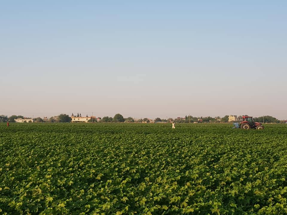 Akçakale Yazlıca Köyü 2