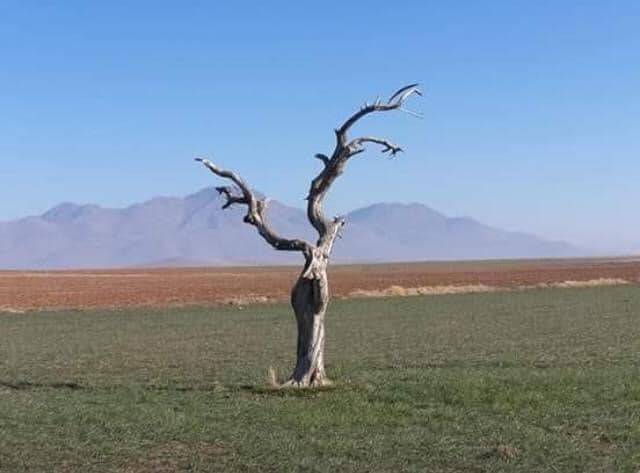 Haymana Karapınar Köyü Resimleri 6