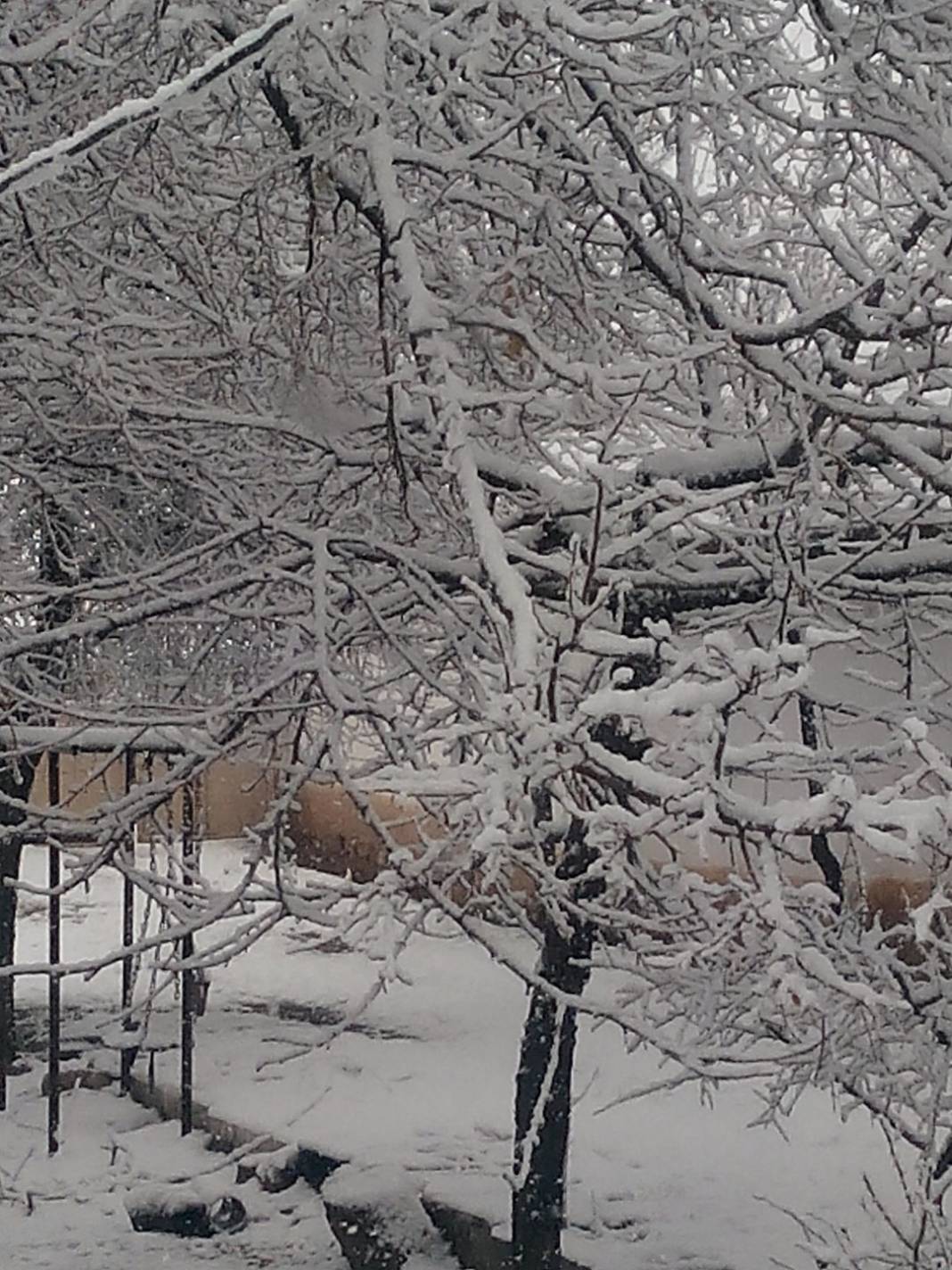 Haymana Kavakköy Köyü Resimleri 4
