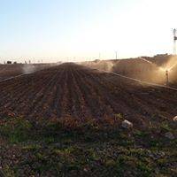 Akçakale Zenginova Köyü 1