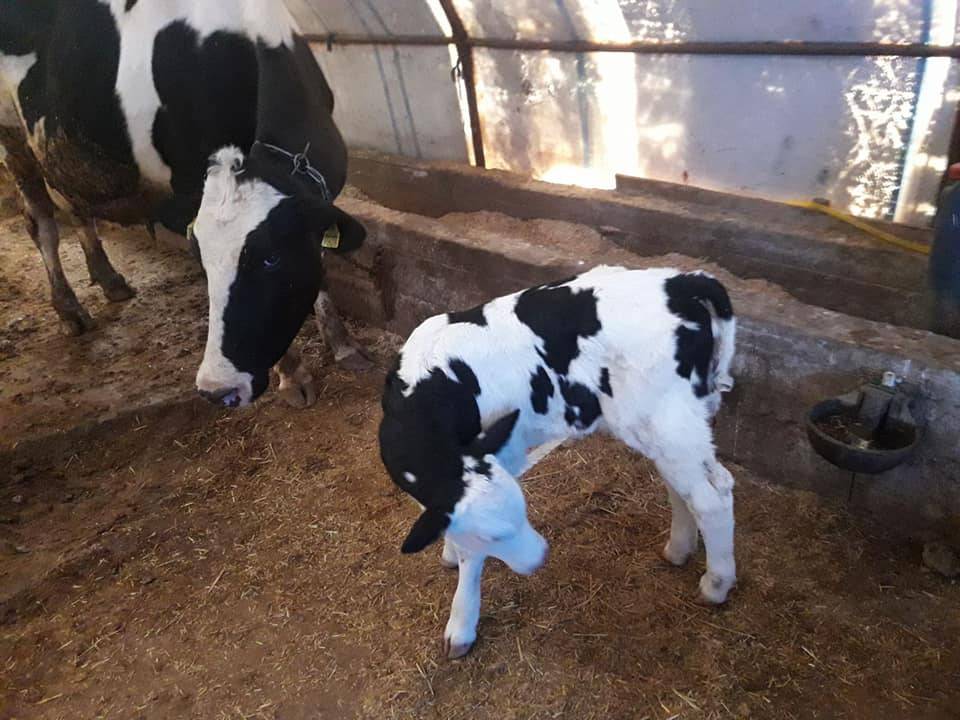 Haymana Kerpiçköy Köyü Resimleri 1