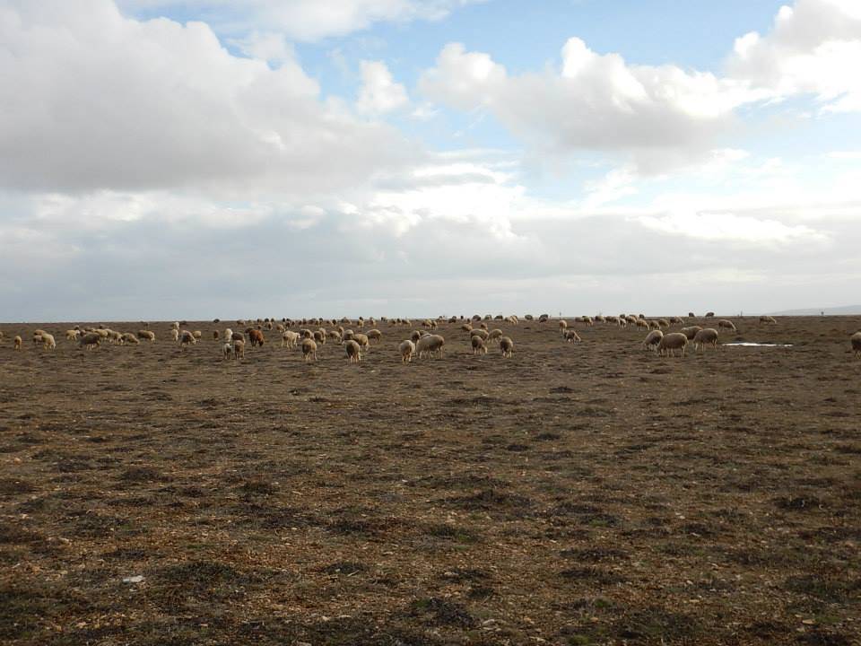 Haymana Kesikkavak Köyü Resimleri 2