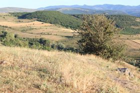Eskipazar Ortaköy Köyü Resimleri 2