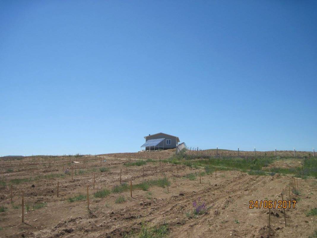 Haymana Kızılkoyunlu Köyü Resimleri 2