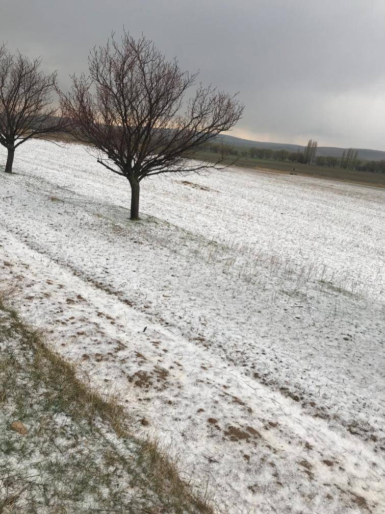 Haymana Kızılkoyunlu Köyü Resimleri 4