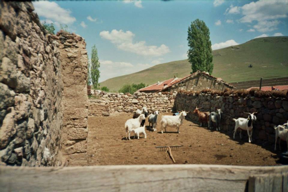 Haymana Kutluhan Köyü Resimleri 1