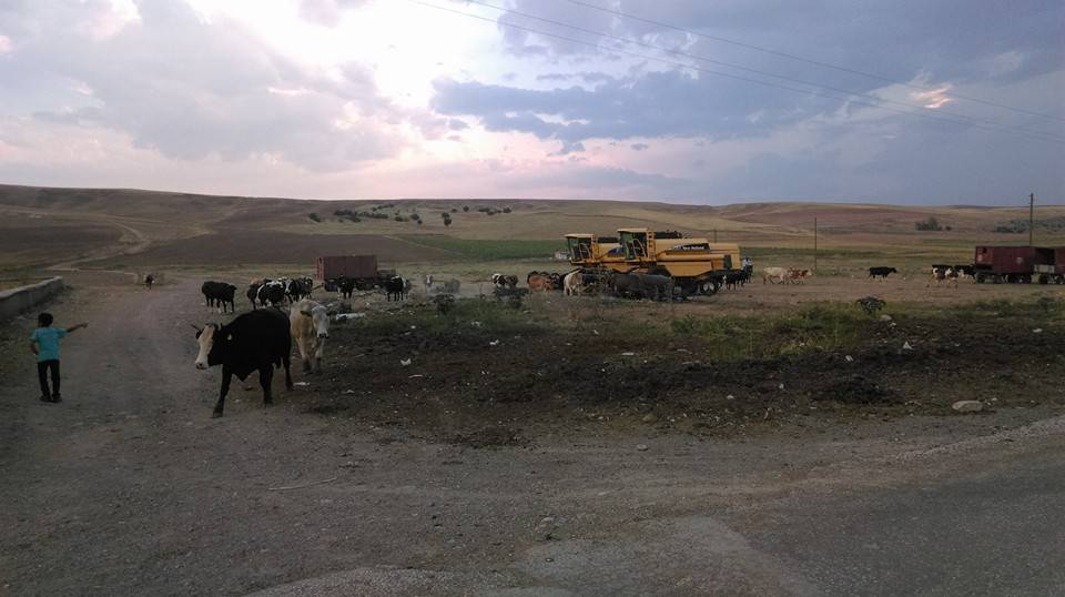 Haymana Saatli Köyü Resimleri 2