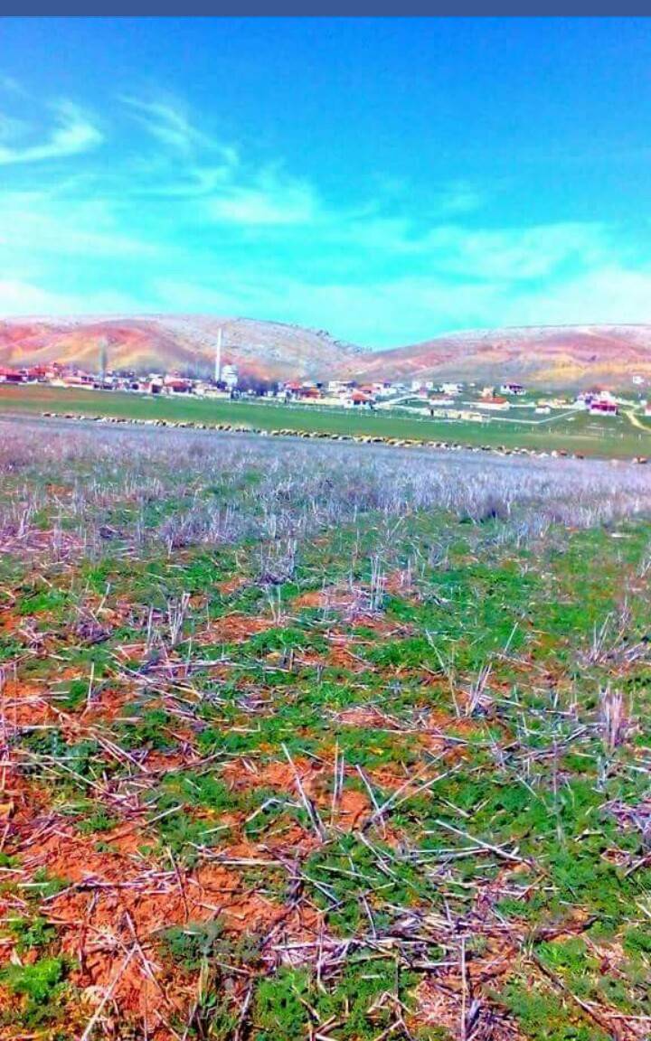 Haymana Saatli Köyü Resimleri 7