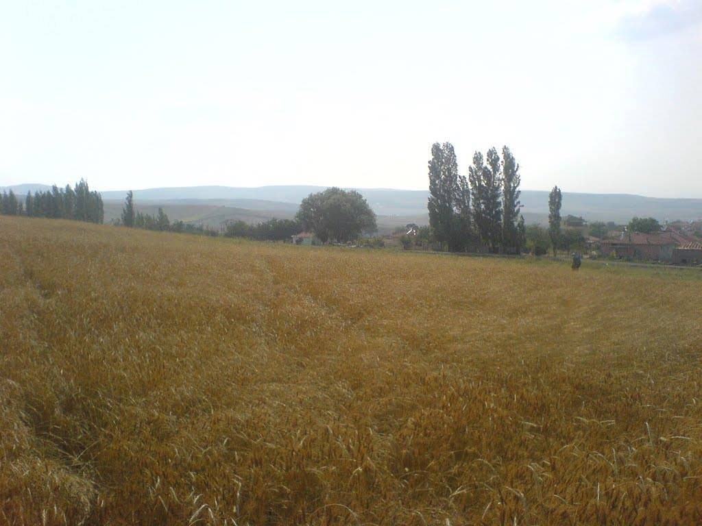 Haymana Soğulca Köyü Resimleri 8