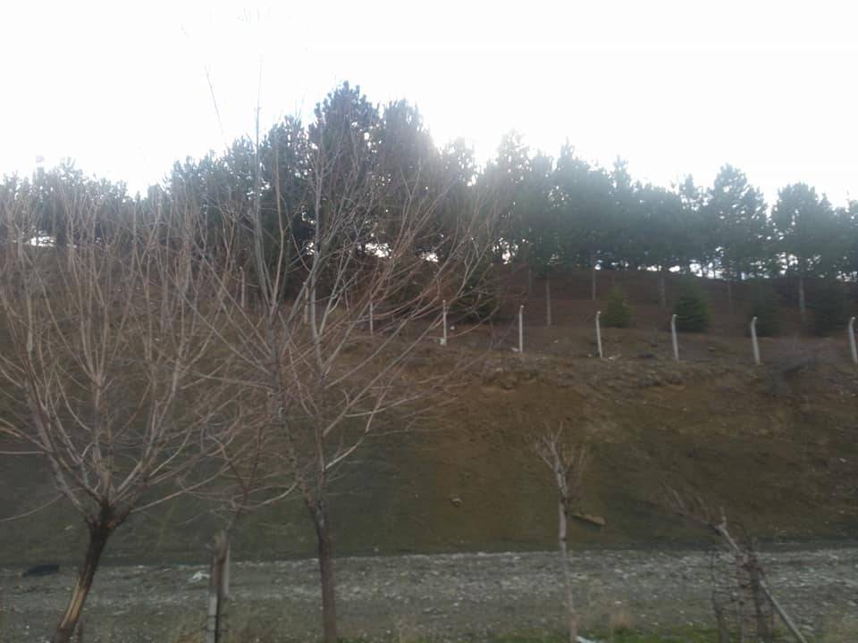 Haymana Söğüttepe Köyü Resimleri 2