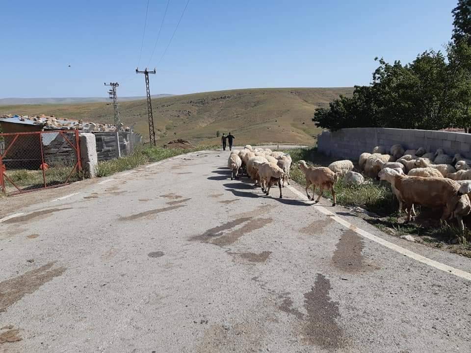 Haymana Tabaklı Köyü Resimleri 5