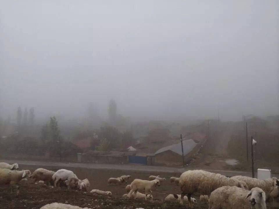 Haymana Toyçayırı Köyü Resimleri 3
