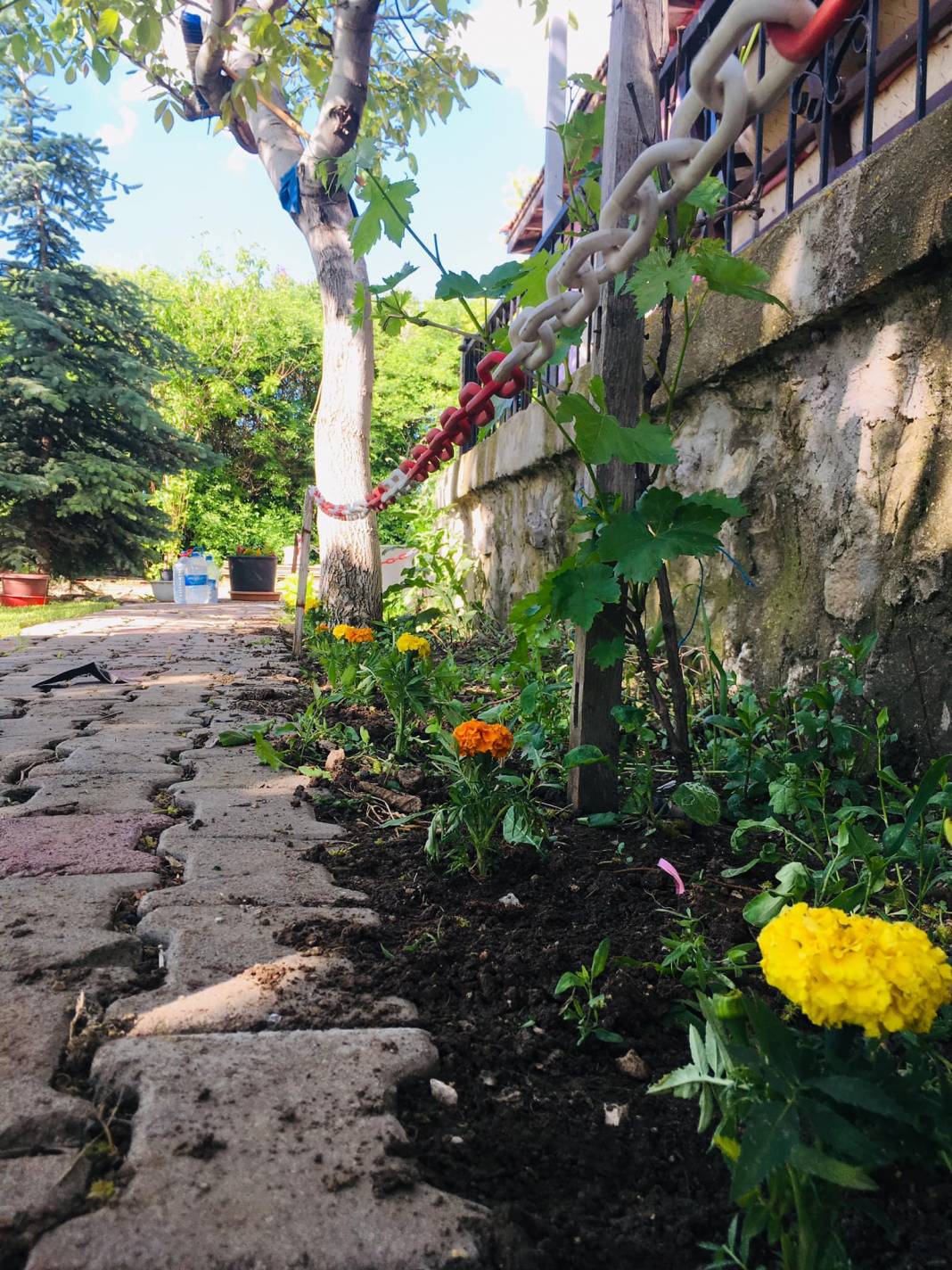 Haymana Tünkhüyük Köyü Resimleri 4