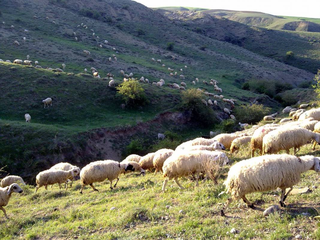 Haymana Yaprakbayırı Köyü Resimleri 1