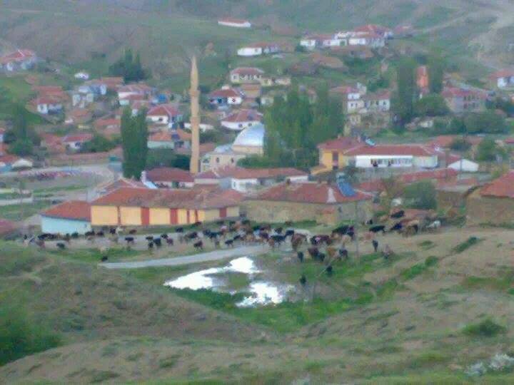 Haymana Yaprakbayırı Köyü Resimleri 3