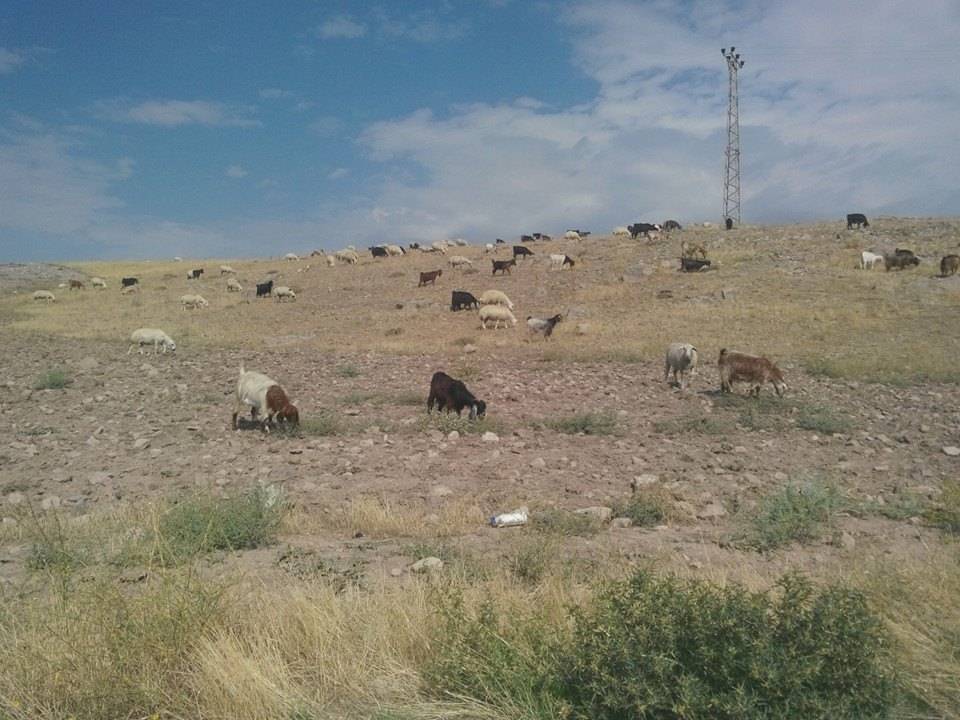 Haymana Yergömü Köyü Resimleri 1