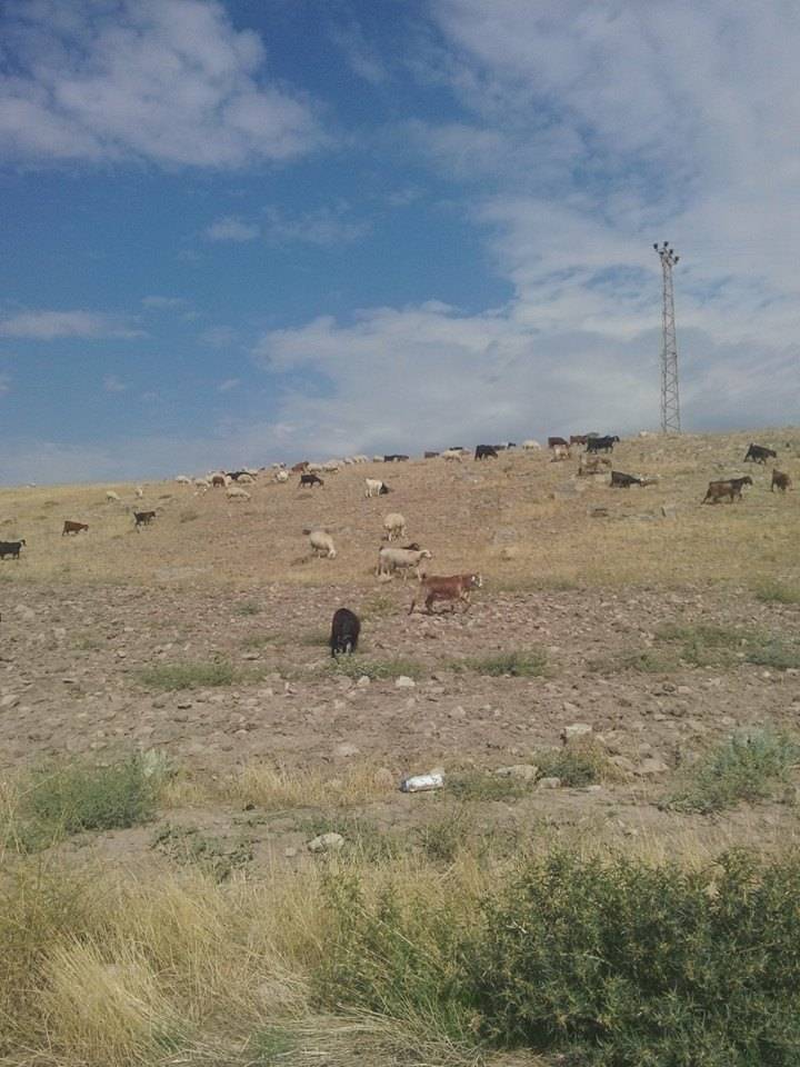 Haymana Yergömü Köyü Resimleri 2