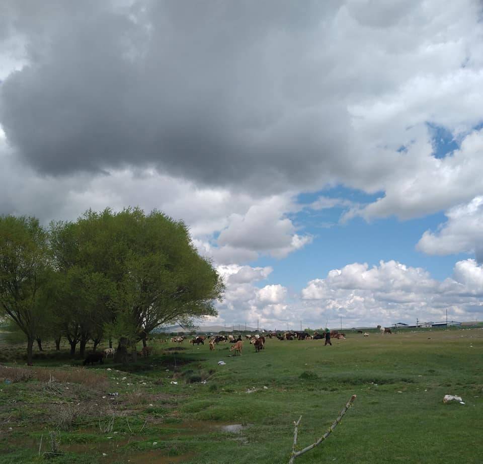 Haymana Yeşilköy Köyü Resimleri 5