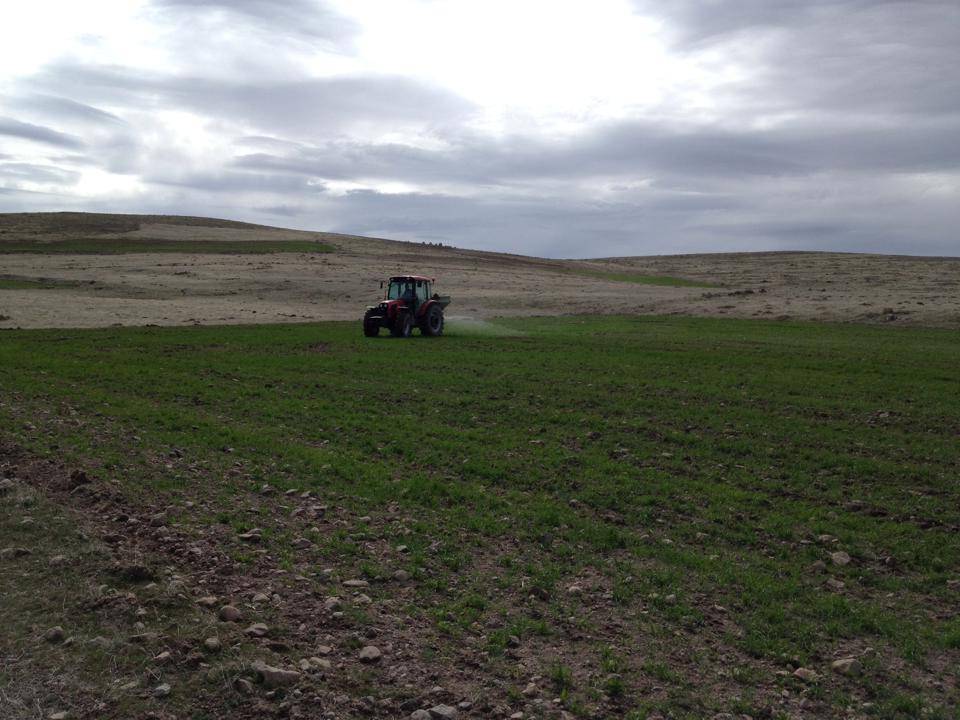 Haymana Yukarısebil Köyü Resimleri 1
