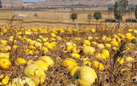 Kahramankazan Akıncı Köyü Resimleri 1