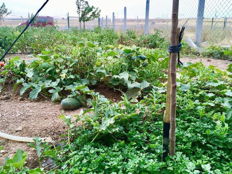 Kahramankazan Fethiye Köyü Resimleri 3