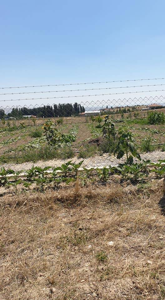 Kahramankazan Fethiye Köyü Resimleri 4