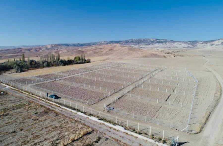 Kahramankazan Fethiye Köyü Resimleri 5