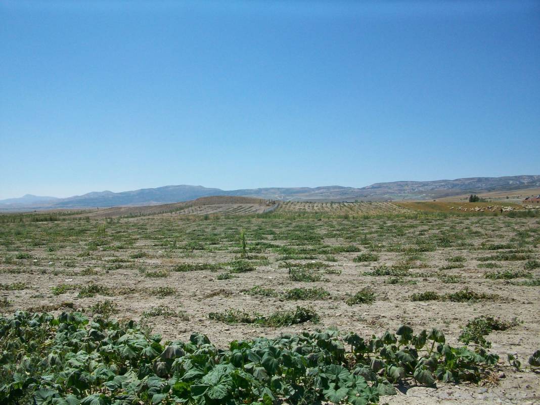 Kahramankazan Fethiye Köyü Resimleri 6