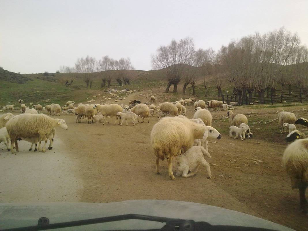 Kahramankazan Karalar Köyü Resimleri 2