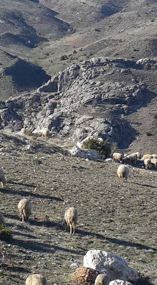 Kahramankazan Karalar Köyü Resimleri 4