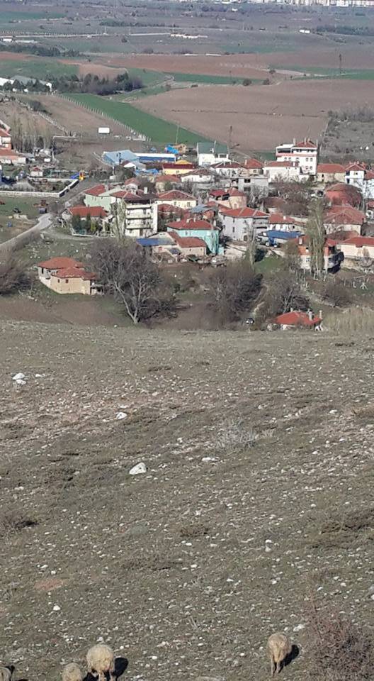 Kahramankazan Karalar Köyü Resimleri 5