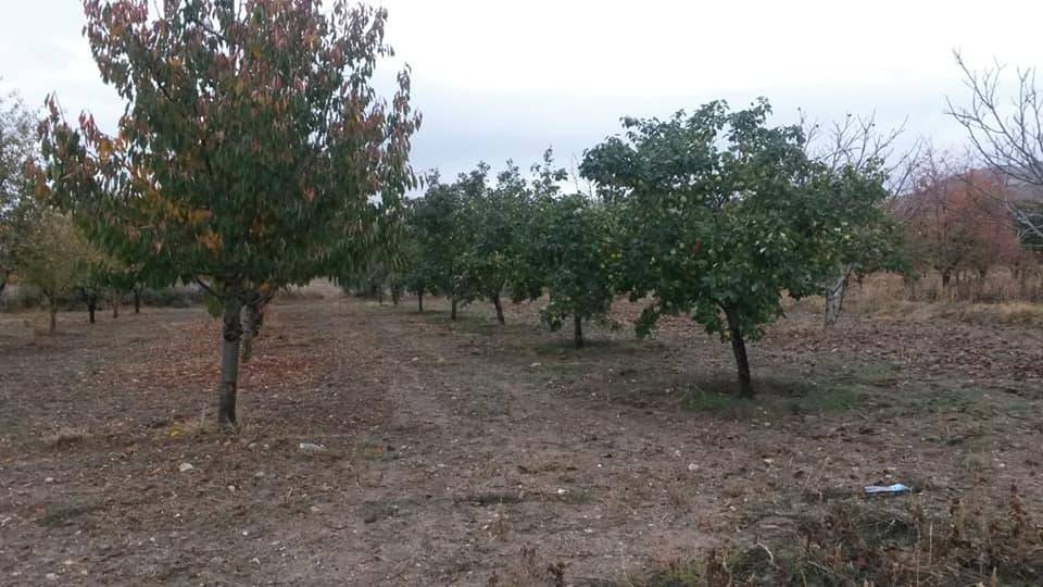 Kahramankazan Sancar Köyü Resimleri 5