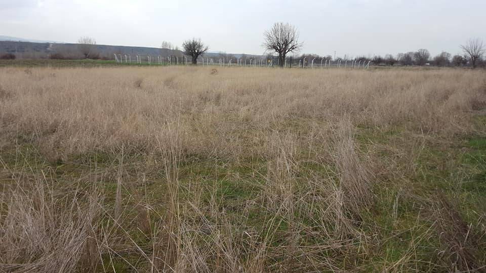 Kahramankazan Uçarı Köyü Resimleri 7